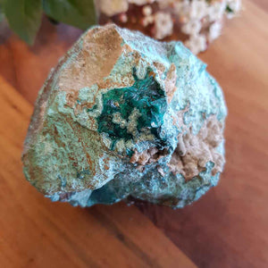 Dioptase with Chrysocolla on Matrix. (approx. 6.5x5cm)