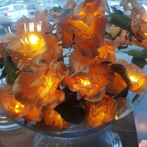 Apricot Flower Fairy Lights. (approx. 3m)