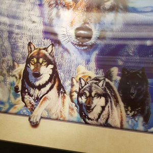 5D Wolf Pack Framed Picture. (approx. 46x46cm)