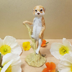 Meerkat Standing on Branch. (approx. 15x6cm)