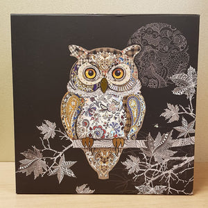 Foiled Owl Box (approx. 22x22x13.5cm)