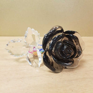 Black Rose with Clear Stem (approx. 15x10x7cm)