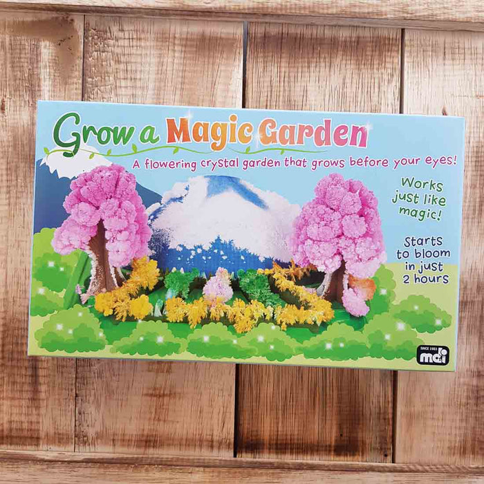 Grow a Magic Garden (a flowering crystal garden that grows before your eyes)