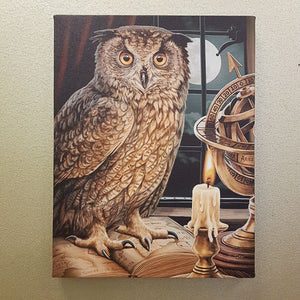 Astrologer Owl Canvas (approx. 25x19cm)