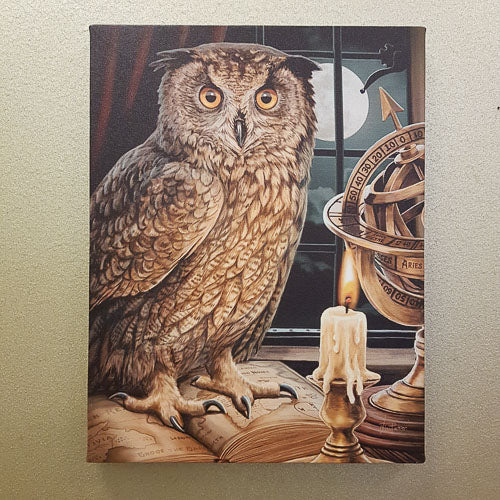 The Astrologer Owl Canvas by Lisa Parker (approx. 25x19cm)