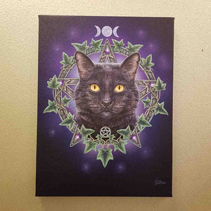 The Charmed One Black Cat with Triple Moon and Pentacle (approx. 25 x 19cm)