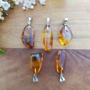 Baltic Amber Pendant (assorted)