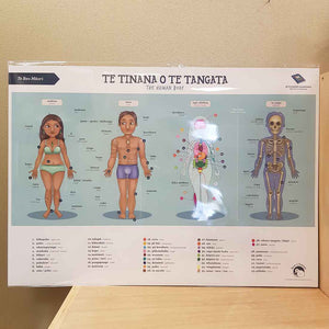 Te Tinana o Te Tangata (The Human Body) A2 Poster