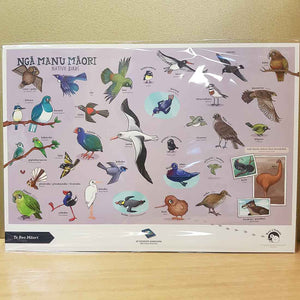 Nga Manu Maori (Native Birds) A3 Poster