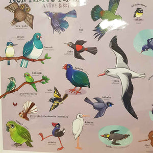 Nga Manu Maori (Native Birds) A3 Poster