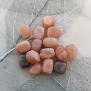 Moonstone Bead (oval shape 14x10mm)