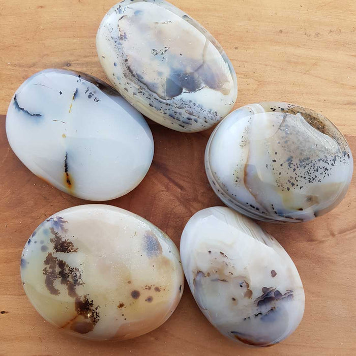 Dendritic Agate Palm Stone (assorted. approx. 7x5x2cm)
