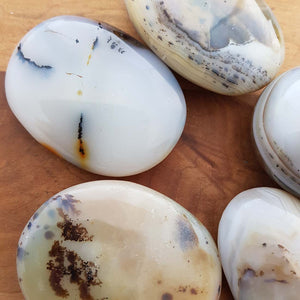 Dendritic Agate Palm Stone (assorted approx. 6-7x4x2cm)