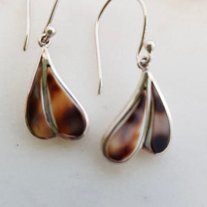 Tiger Cowrie Shell Earrings (sterling silver)