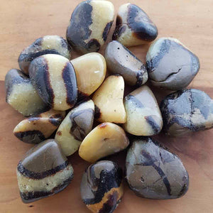 Septarian Tumble (assorted shapes & sizes)