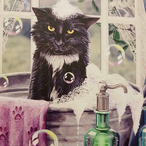 Cat Bath Time Canvas by Lisa Parker (approx. 25 x 19cm)
