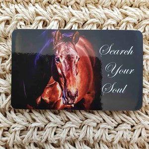 Search Your Soul Horse Wisdom Magnet (approx. x9cm)