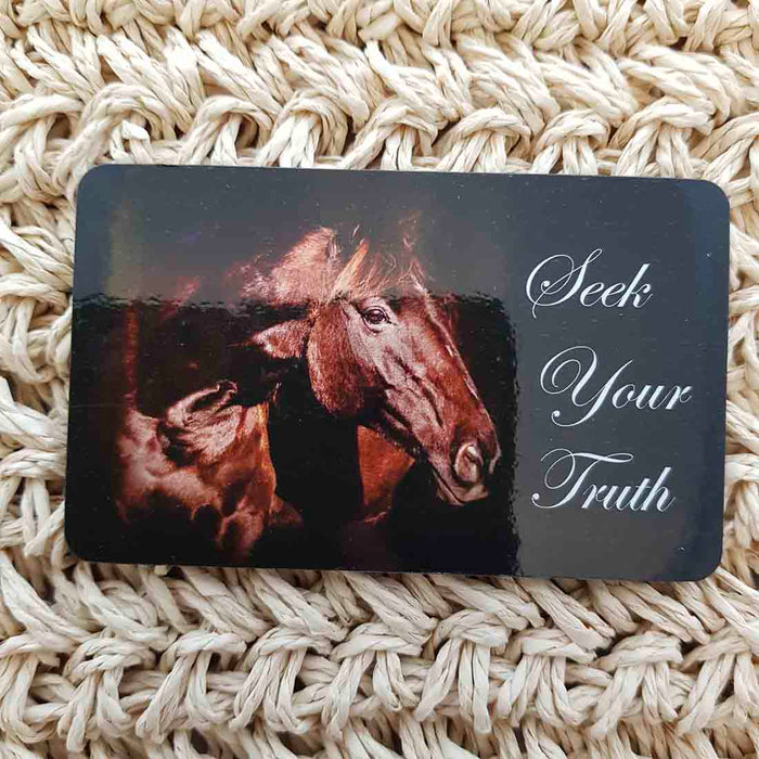Seek Your Truth Horse Wisdom Magnet (approx. x9cm)