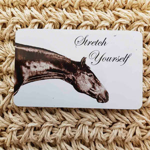 Stretch Yourself Horse Wisdom Magnet (approx. x9cm)