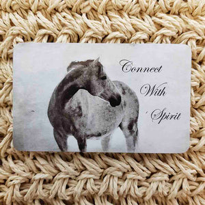 Connect With Spirit Horse Wisdom Magnet (approx. x9cm)