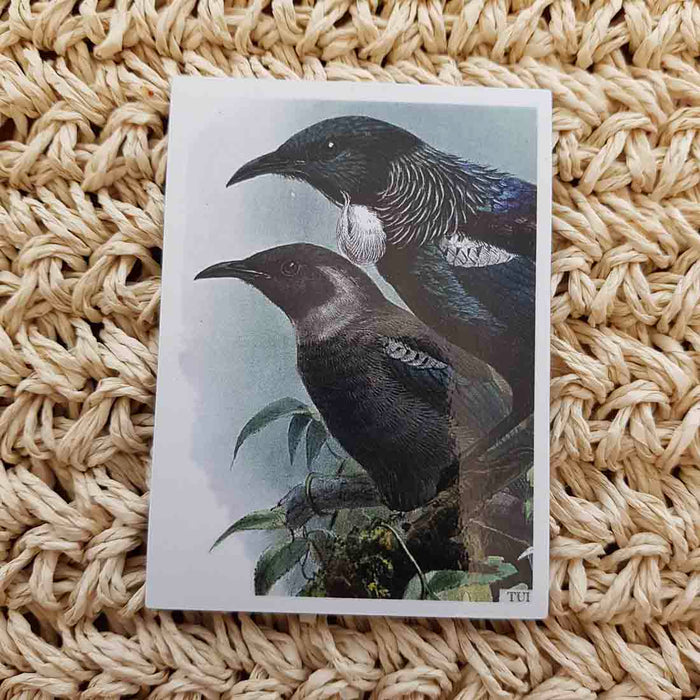 Tui Magnet (approx. 6.5x9cm)