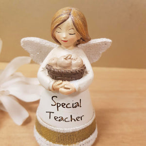 Special Teacher Angel