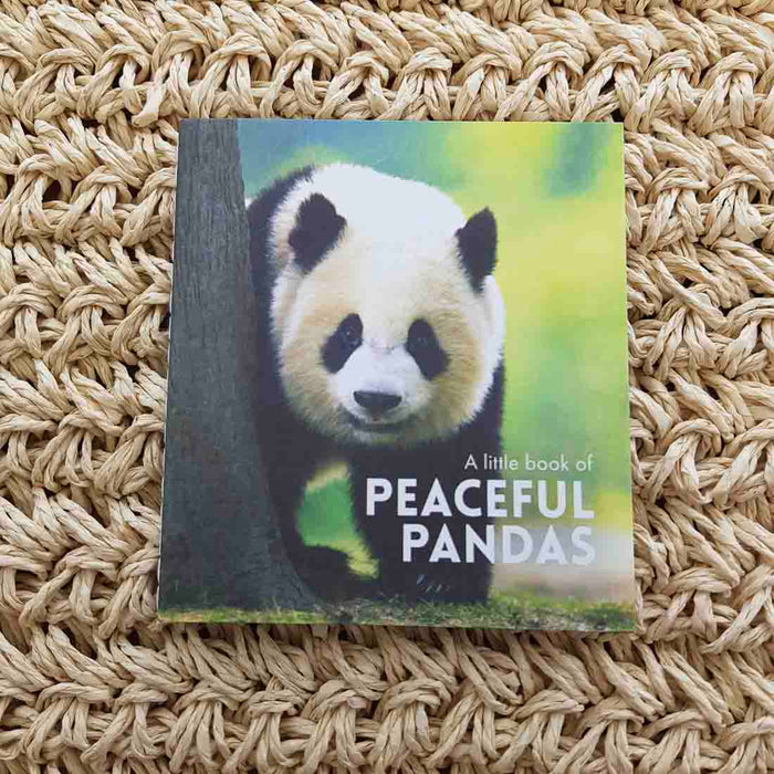 A Little Book of Peaceful Pandas (approx. 8.5x9.5cm)