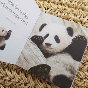A Little Book of Peaceful Pandas