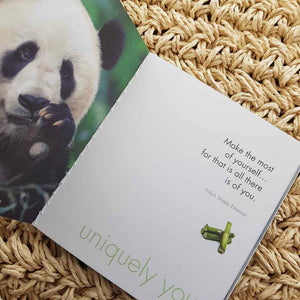 A Little Book of Peaceful Pandas