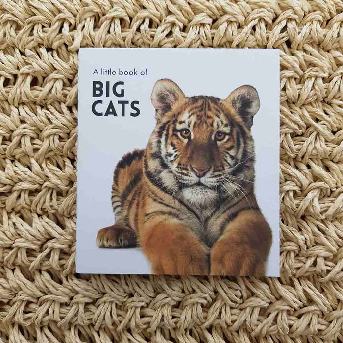 A Little Book of Big Cats (approx. 8.5x9.5cm)