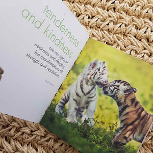 A Little Book of Big Cats