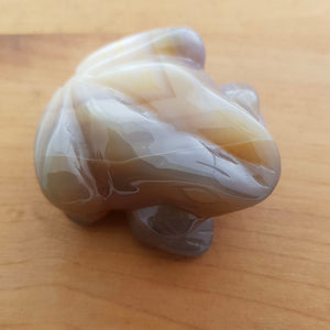 Agate Frog