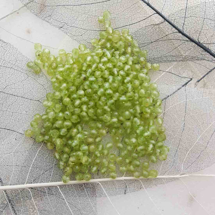 Peridot Faceted Bead (approx. 3mm)