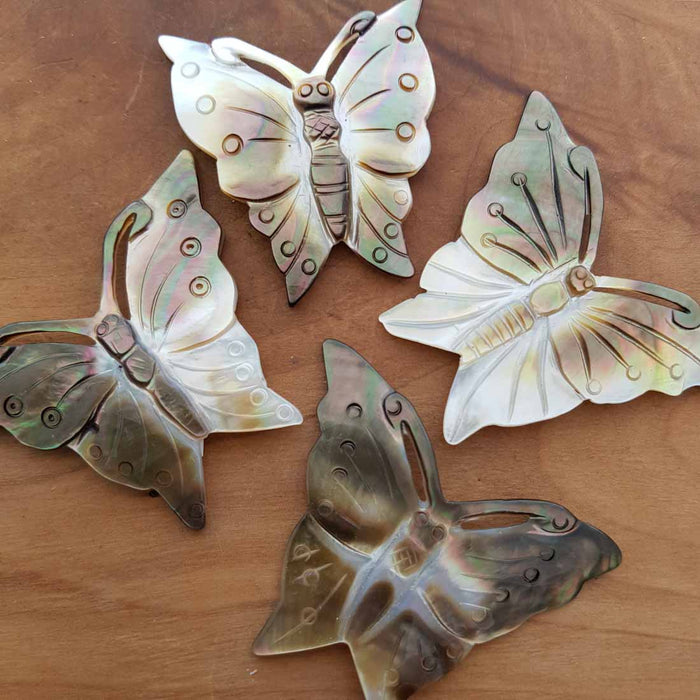 Shell Butterfly (assorted. approx. 4.5x6cm)