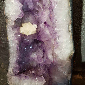 Amethyst Geode from Brazil