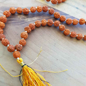 Rudraksha Mala/Prayer Beads 108 plus Guru bead