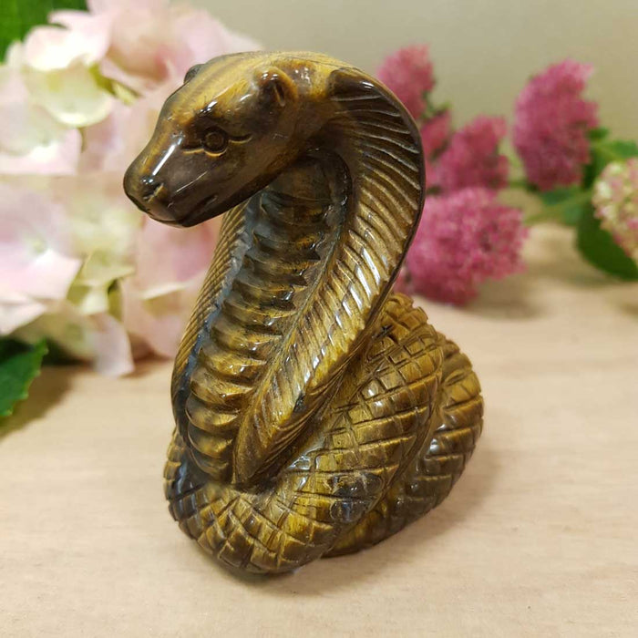 Gold Tiger's Eye Cobra (approx. 7.5x6x3.5cm)