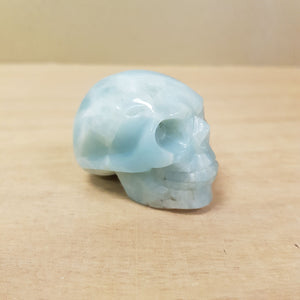 Caribbean Calcite Skull