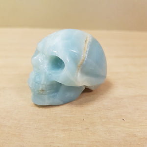 Caribbean Calcite Skull