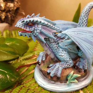 Baby Water Dragon by Anne Stokes