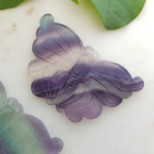 Rainbow Fluorite Butterfly