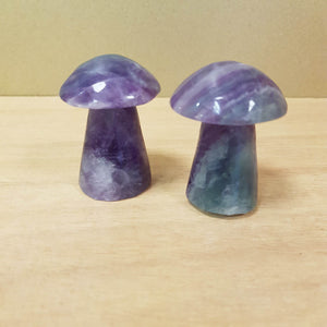 Rainbow Fluorite Mushroom