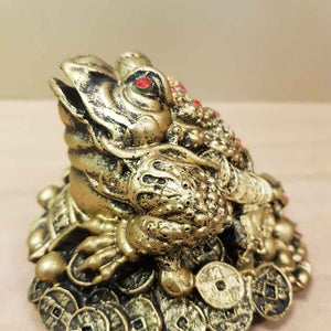 Gold Finish Feng Shui Frog