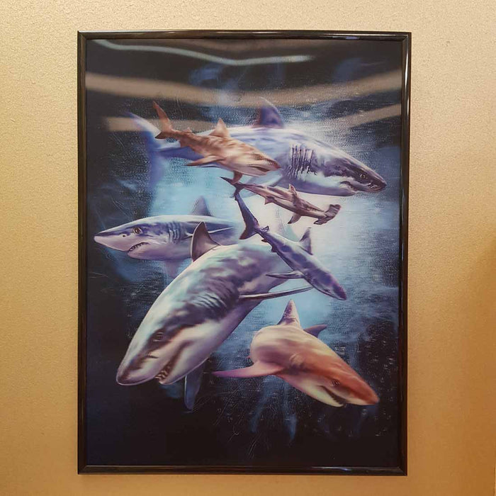 4D Sharks (approx. 29x39cm)