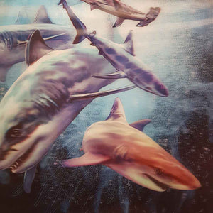 4D Sharks