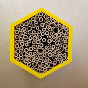 Wooden Bee House - Perfect for Solitary Bees