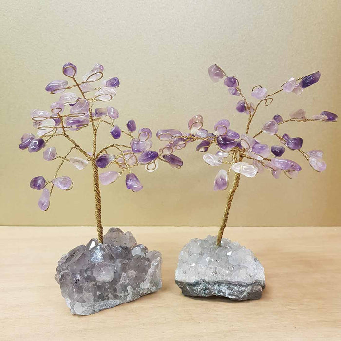 Amethyst Tree on Amethyst Cluster (assorted. approx. 15x13x12cm)