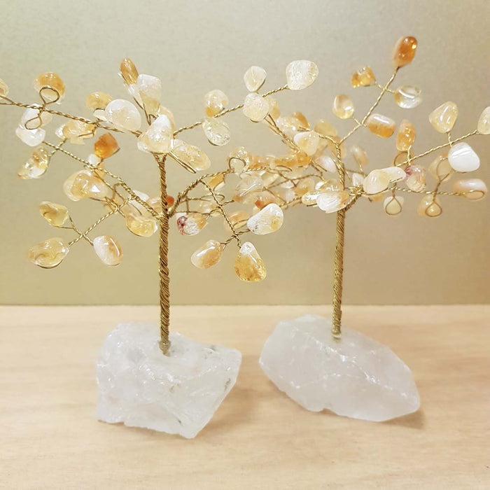 Citrine (heat treated) Tree on Clear Quartz Base (assorted. approx. 15x13x12cm)