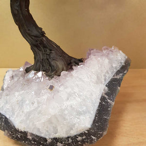 Rose Quartz Tree on Amethyst Cluster