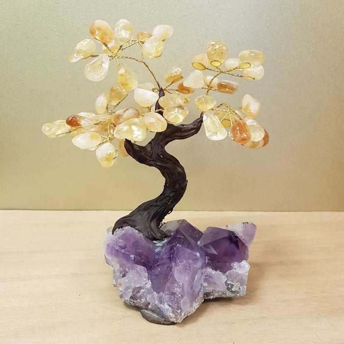 Citrine (heat treated) Tree on Amethyst Cluster (approx. 19x16x12cm)